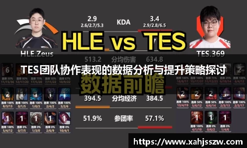 TES团队协作表现的数据分析与提升策略探讨