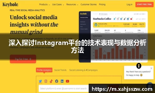 深入探讨Instagram平台的技术表现与数据分析方法