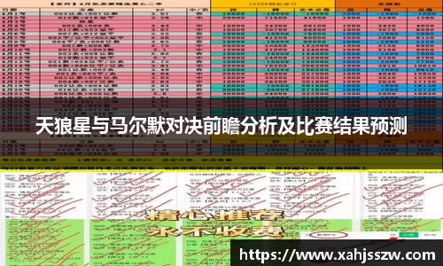 天狼星与马尔默对决前瞻分析及比赛结果预测
