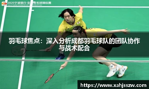 羽毛球焦点：深入分析成都羽毛球队的团队协作与战术配合